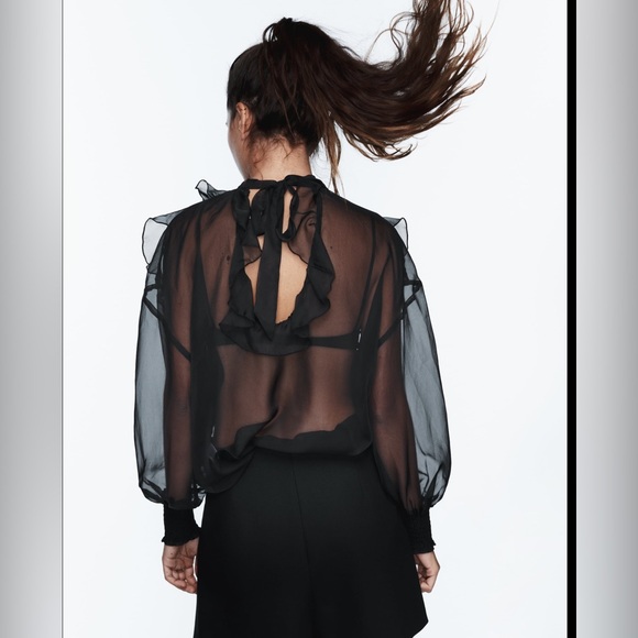Zara semi sheer oversized ruffle organza blouse - Picture 11 of 12